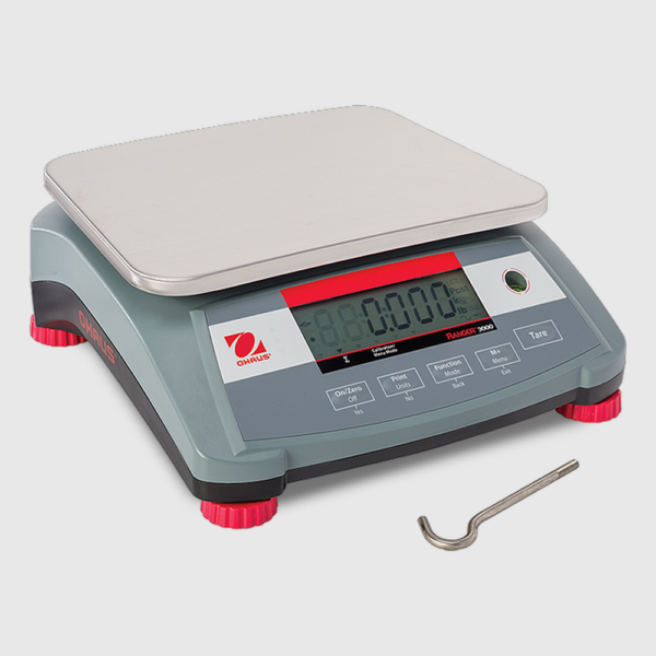 BALANZA RANGER 3000 - Image 2